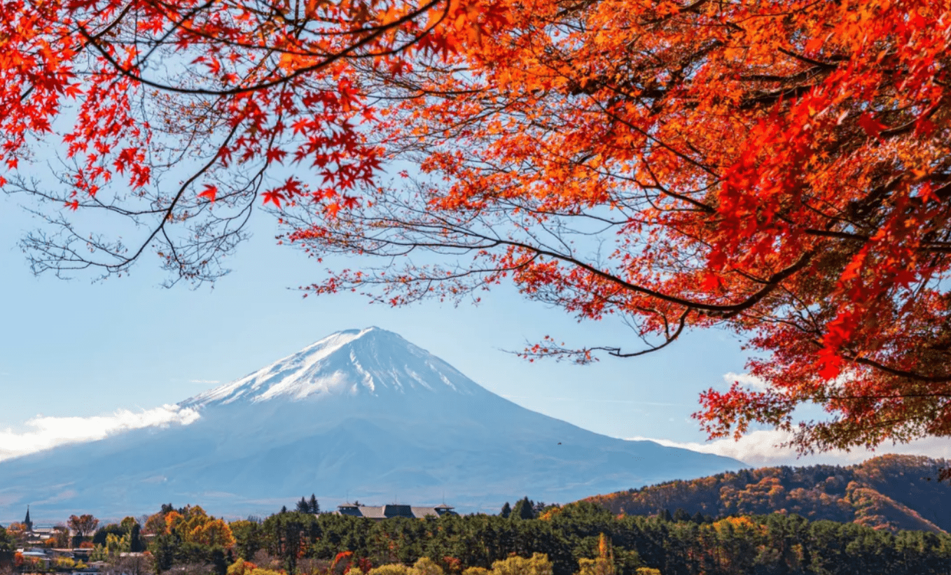 Mount Fuji Amazing View Day Tour from Tokyo - Keep Good Trip