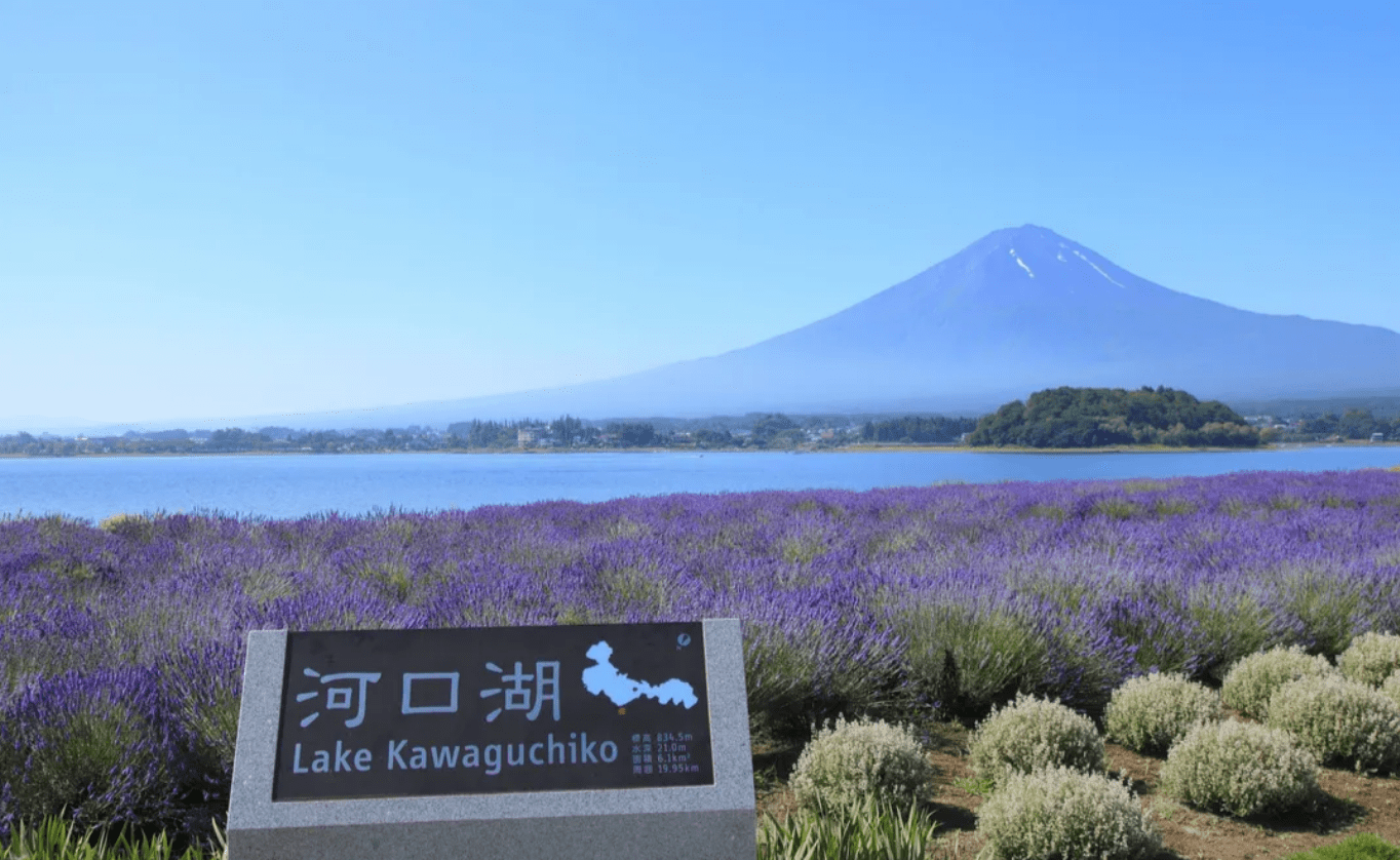 Mount Fuji Amazing View Day Tour from Tokyo - Keep Good Trip