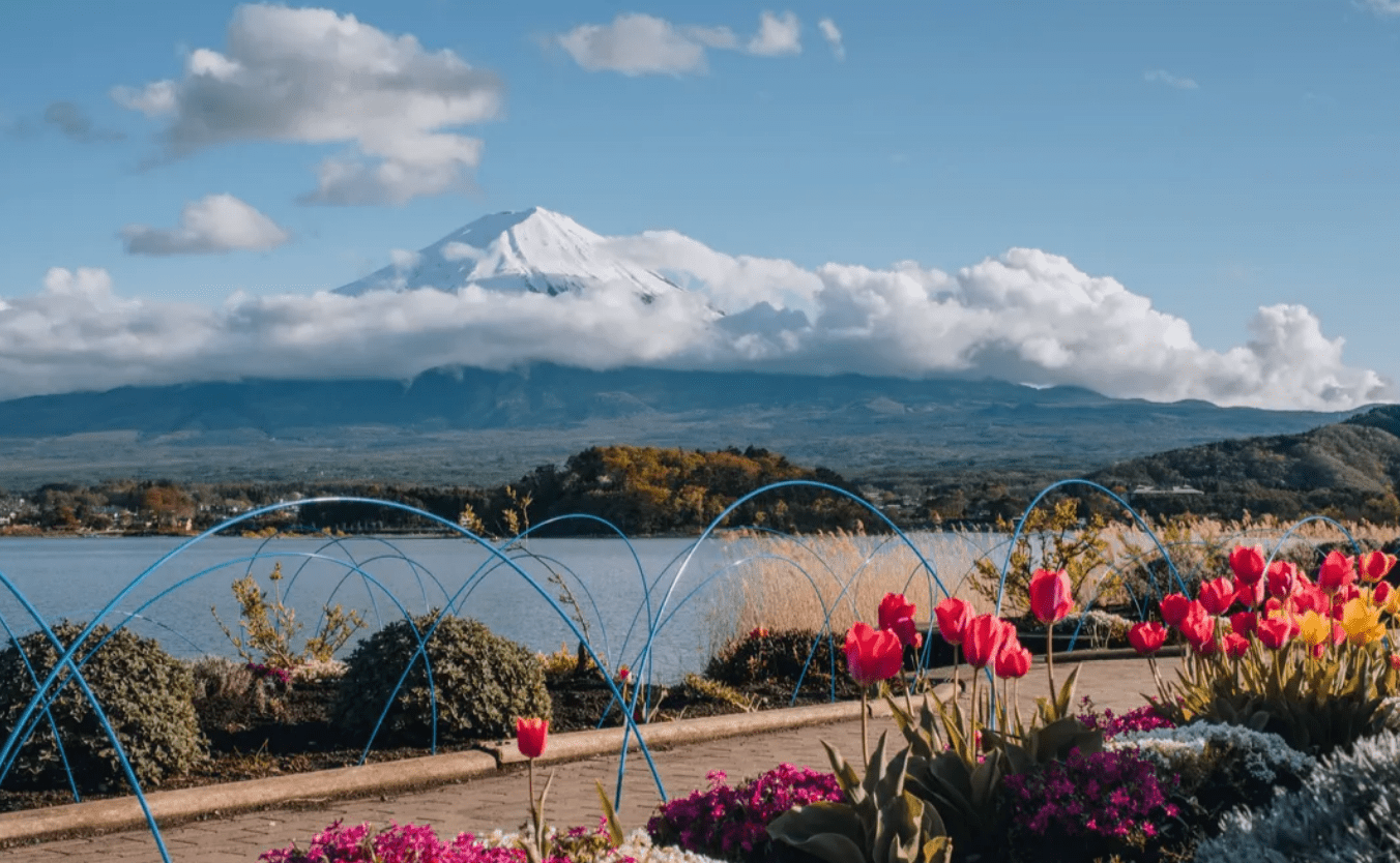 Mount Fuji Amazing View Day Tour from Tokyo - Keep Good Trip