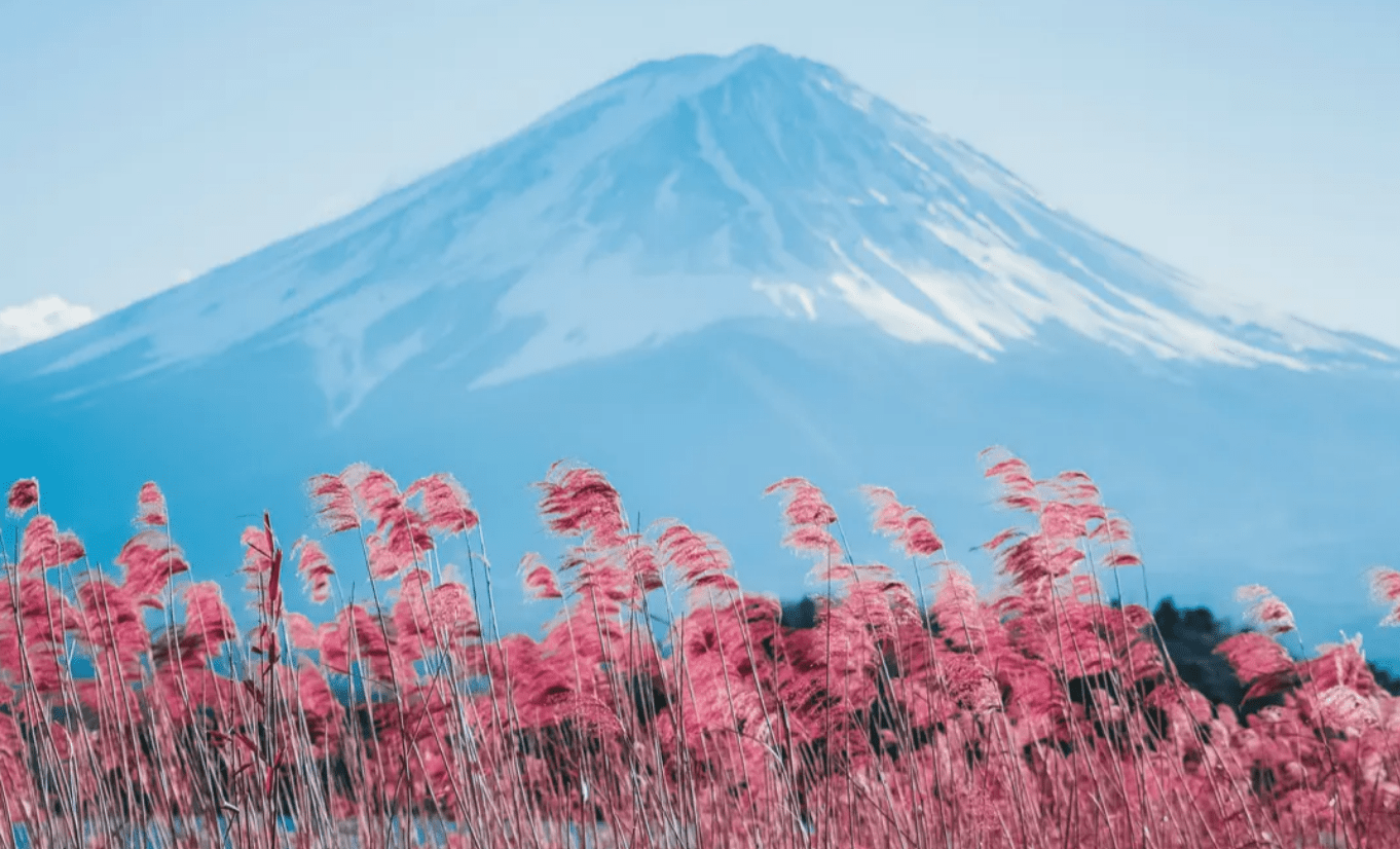 Mount Fuji Amazing View Day Tour from Tokyo - Keep Good Trip