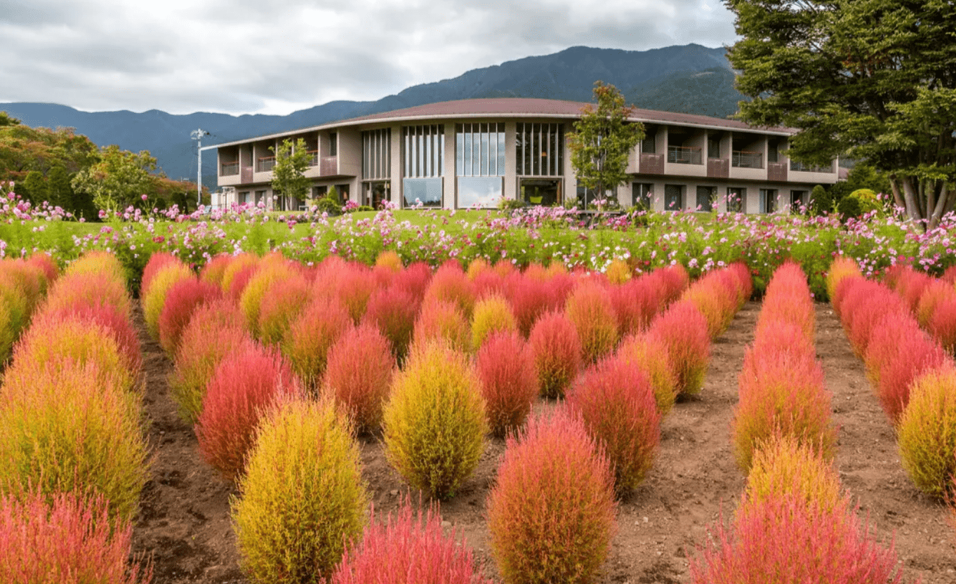 Mount Fuji Amazing View Day Tour from Tokyo - Keep Good Trip