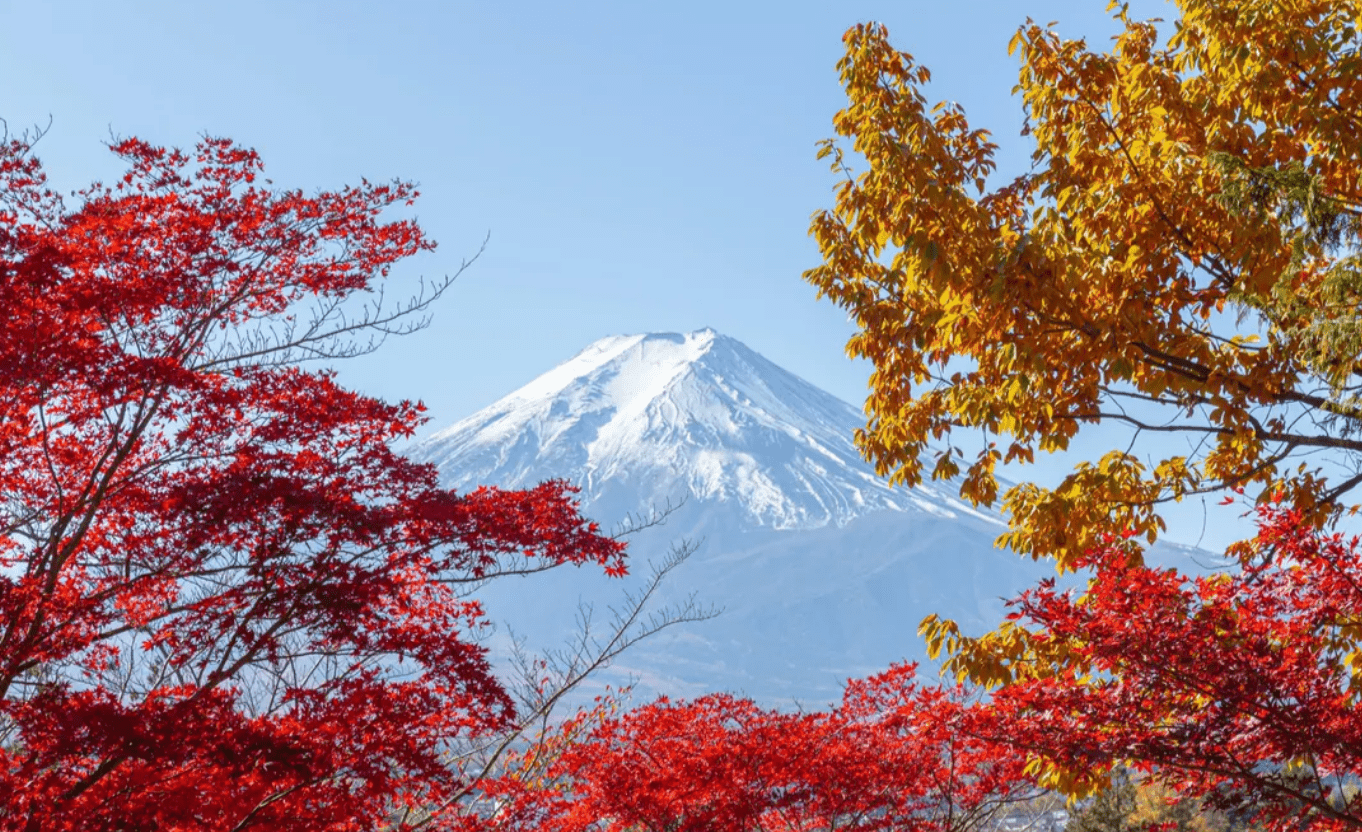 Mount Fuji Amazing View Day Tour from Tokyo - Keep Good Trip