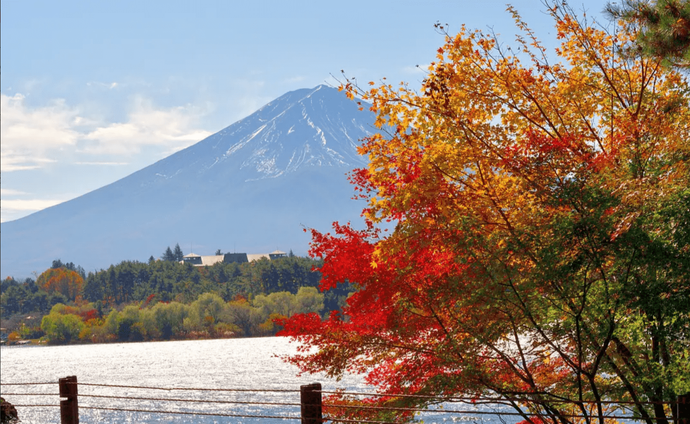 Mount Fuji Amazing View Day Tour from Tokyo - Keep Good Trip