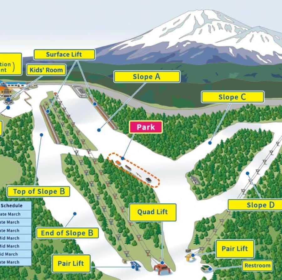 From Tokyo: Mount Fuji Yeti Ski Resort Day Trip - Keep Good Trip