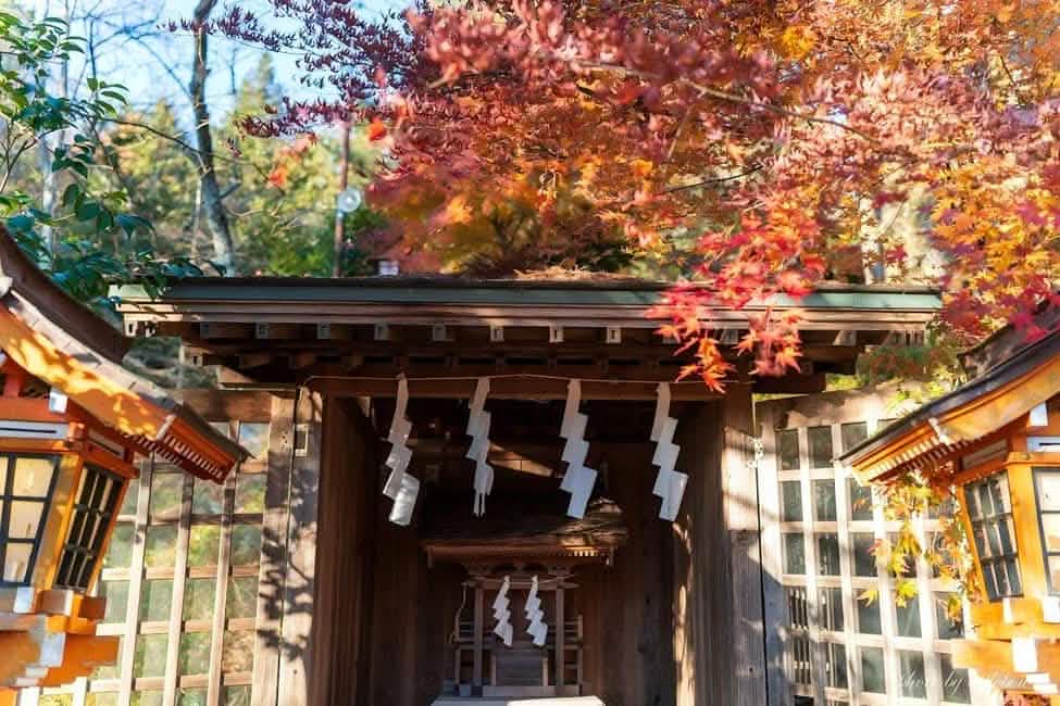 Tokyo: Full - Day Tour to the Best Scenic Spots of Mount Fuji - Keep Good Trip