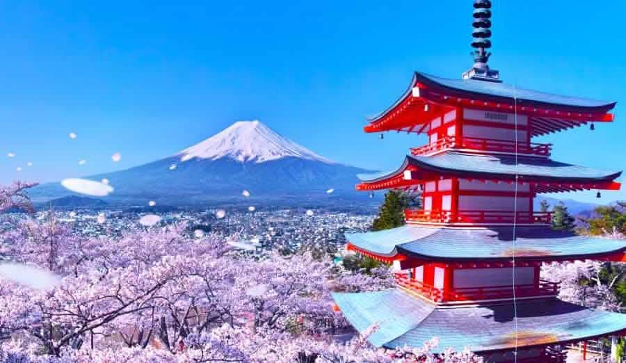 Tokyo: Full - Day Tour to the Best Scenic Spots of Mount Fuji - Keep Good Trip