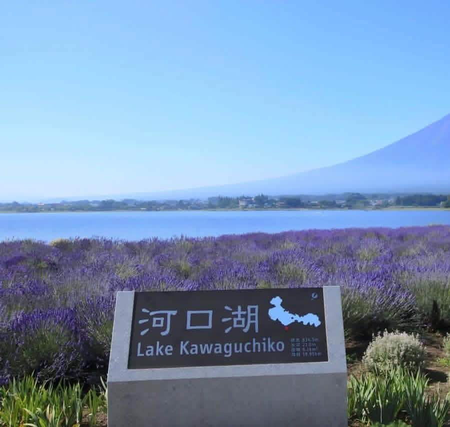 Tokyo: Full - Day Tour to the Best Scenic Spots of Mount Fuji - Keep Good Trip