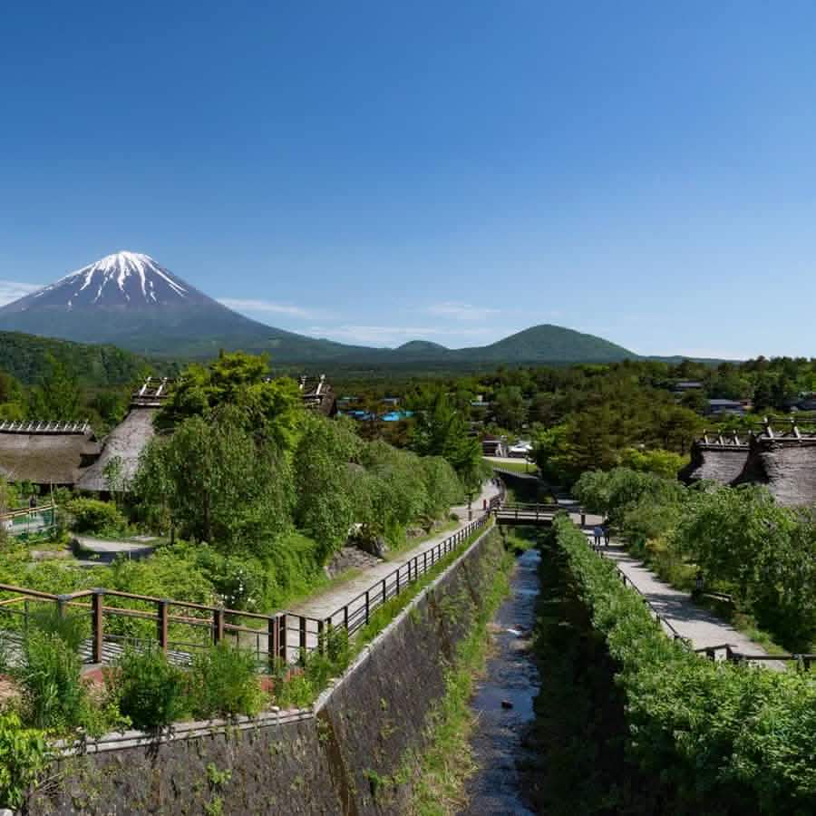 Tokyo: Full - Day Tour to the Best Scenic Spots of Mount Fuji - Keep Good Trip