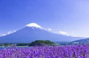Tokyo: Full - Day Tour to the Best Scenic Spots of Mount Fuji - Keep Good Trip
