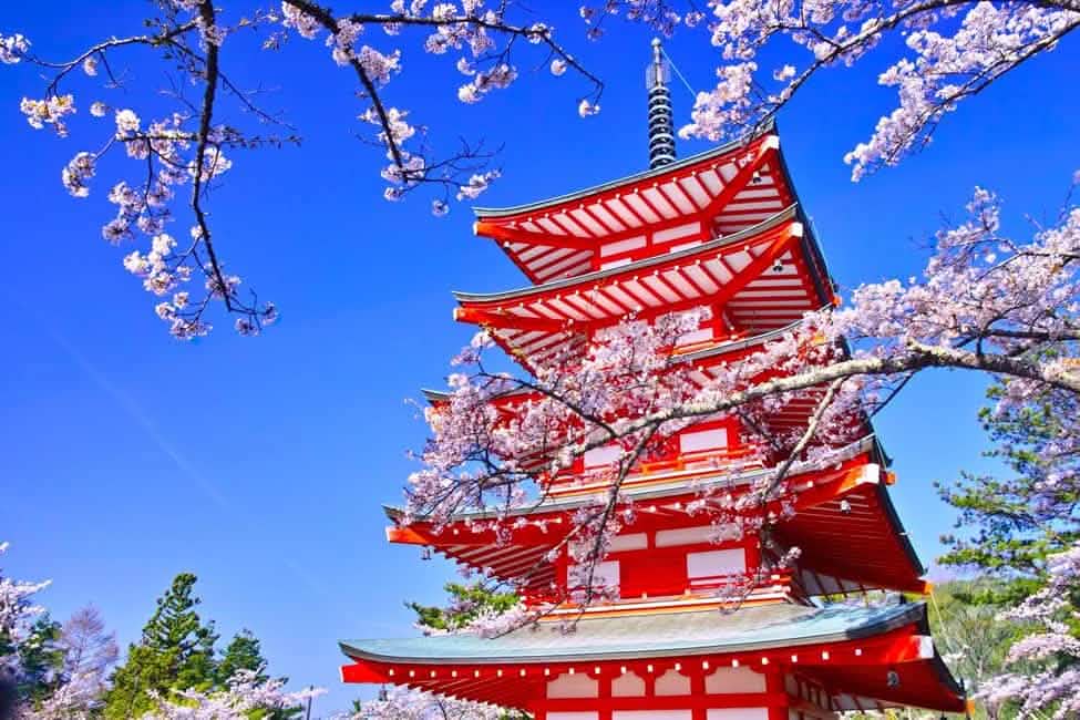 Tokyo: Full - Day Tour to the Best Scenic Spots of Mount Fuji - Keep Good Trip