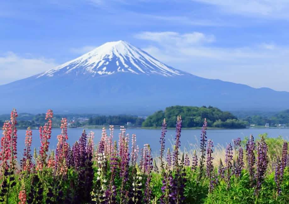 Tokyo: Full - Day Tour to the Best Scenic Spots of Mount Fuji - Keep Good Trip