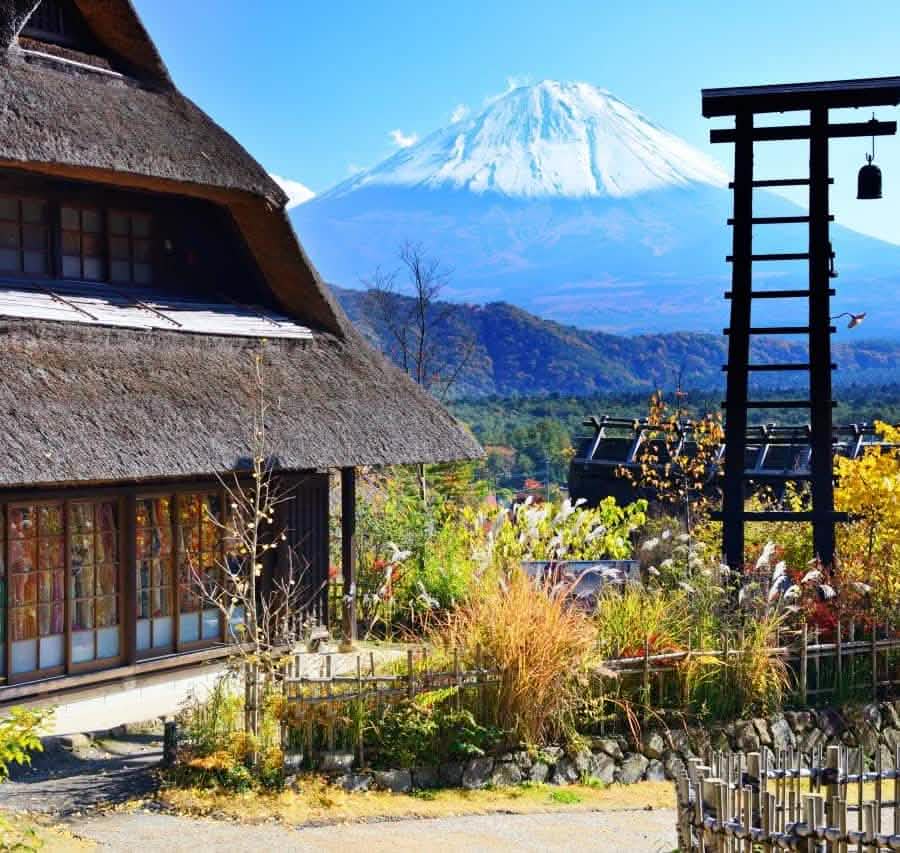 Tokyo: Full - Day Tour to the Best Scenic Spots of Mount Fuji - Keep Good Trip