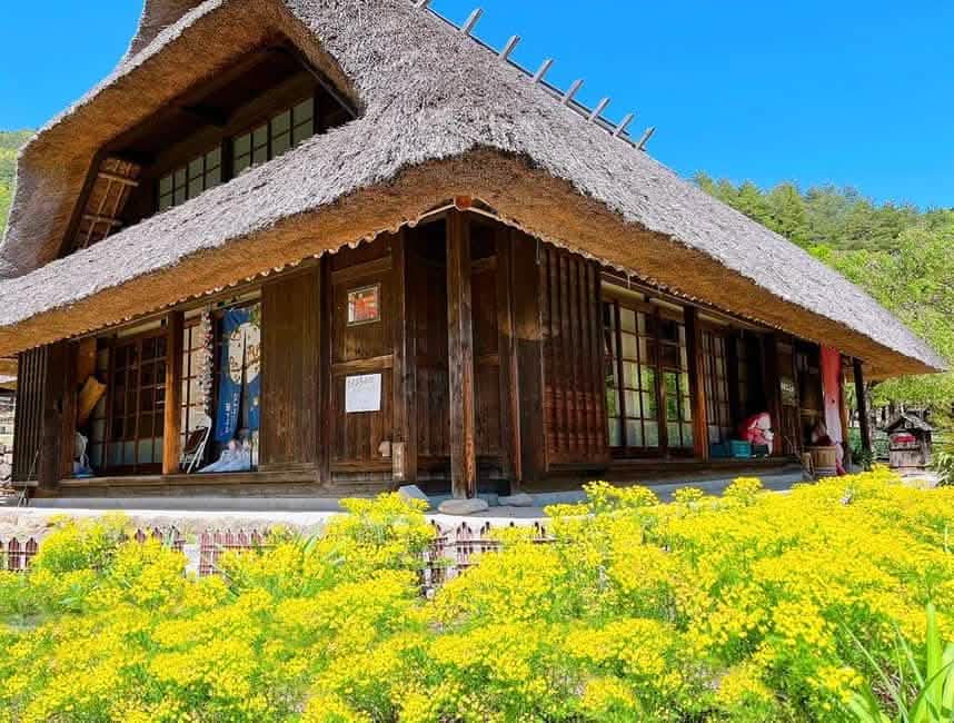 Tokyo: Full - Day Tour to the Best Scenic Spots of Mount Fuji - Keep Good Trip