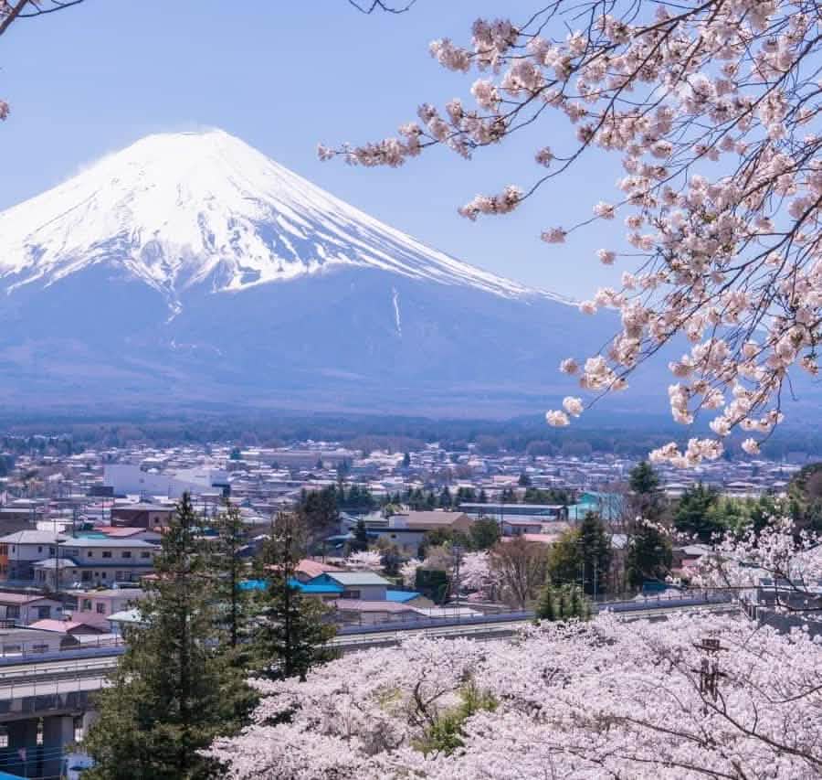 Tokyo: Full - Day Tour to the Best Scenic Spots of Mount Fuji - Keep Good Trip
