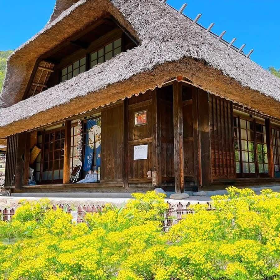 Tokyo: Full - Day Tour to the Best Scenic Spots of Mount Fuji - Keep Good Trip