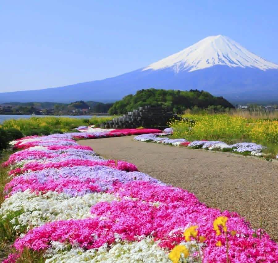 Tokyo: Full - Day Tour to the Best Scenic Spots of Mount Fuji - Keep Good Trip