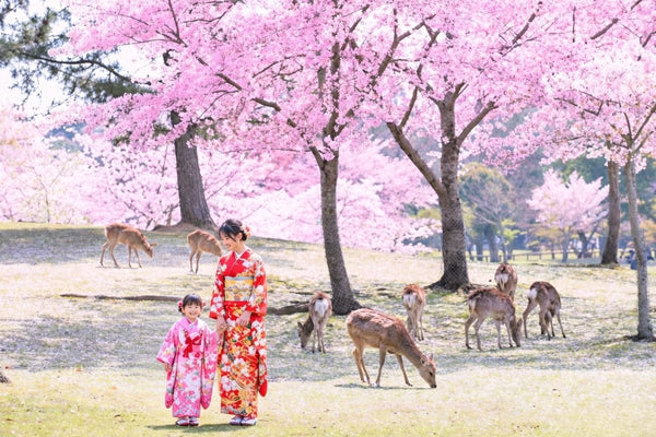 Kyoto, Nara & Uji: Nara Park, Fushimi Inari Day Tour - Keep Good Trip