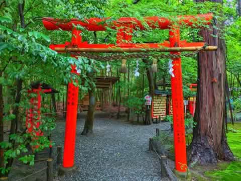 [One - day tour of Osaka and Kyoto attractions] Katsuo - ji Temple, Kinkaku - ji Temple, Arashiyama Togetsukyo Bridge, Kimono Forest, Bamboo Forest Trail, and Nonomiya Shrine (depart from Osaka or Kyoto) - Keep Good Trip