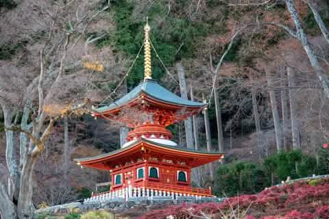 [One - day tour of Osaka and Kyoto attractions] Katsuo - ji Temple, Kinkaku - ji Temple, Arashiyama Togetsukyo Bridge, Kimono Forest, Bamboo Forest Trail, and Nonomiya Shrine (depart from Osaka or Kyoto) - Keep Good Trip
