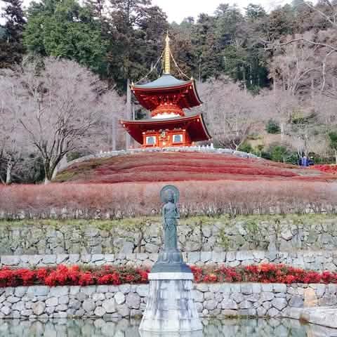 [One - day tour of Osaka and Kyoto attractions] Katsuo - ji Temple, Kinkaku - ji Temple, Arashiyama Togetsukyo Bridge, Kimono Forest, Bamboo Forest Trail, and Nonomiya Shrine (depart from Osaka or Kyoto) - Keep Good Trip