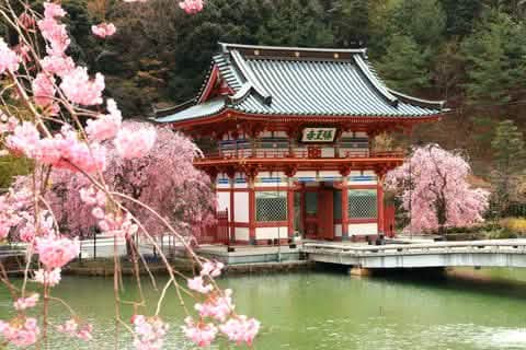 [One - day tour of Osaka and Kyoto attractions] Katsuo - ji Temple, Kinkaku - ji Temple, Arashiyama Togetsukyo Bridge, Kimono Forest, Bamboo Forest Trail, and Nonomiya Shrine (depart from Osaka or Kyoto) - Keep Good Trip