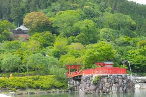 [One - day tour of Osaka and Kyoto attractions] Katsuo - ji Temple, Kinkaku - ji Temple, Arashiyama Togetsukyo Bridge, Kimono Forest, Bamboo Forest Trail, and Nonomiya Shrine (depart from Osaka or Kyoto) - Keep Good Trip