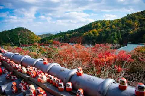[One - day tour of Osaka and Kyoto attractions] Katsuo - ji Temple, Kinkaku - ji Temple, Arashiyama Togetsukyo Bridge, Kimono Forest, Bamboo Forest Trail, and Nonomiya Shrine (depart from Osaka or Kyoto) - Keep Good Trip