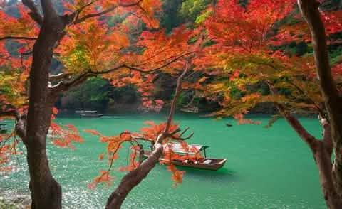 [One - day tour of Osaka and Kyoto attractions] Katsuo - ji Temple, Kinkaku - ji Temple, Arashiyama Togetsukyo Bridge, Kimono Forest, Bamboo Forest Trail, and Nonomiya Shrine (depart from Osaka or Kyoto) - Keep Good Trip