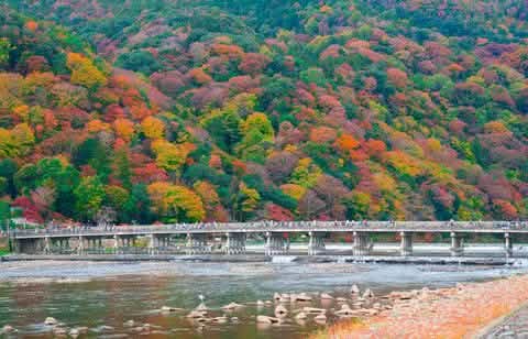 [One - day tour of Osaka and Kyoto attractions] Katsuo - ji Temple, Kinkaku - ji Temple, Arashiyama Togetsukyo Bridge, Kimono Forest, Bamboo Forest Trail, and Nonomiya Shrine (depart from Osaka or Kyoto) - Keep Good Trip
