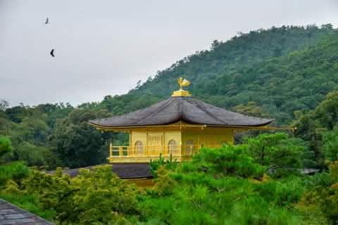 [One - day tour of Osaka and Kyoto attractions] Katsuo - ji Temple, Kinkaku - ji Temple, Arashiyama Togetsukyo Bridge, Kimono Forest, Bamboo Forest Trail, and Nonomiya Shrine (depart from Osaka or Kyoto) - Keep Good Trip