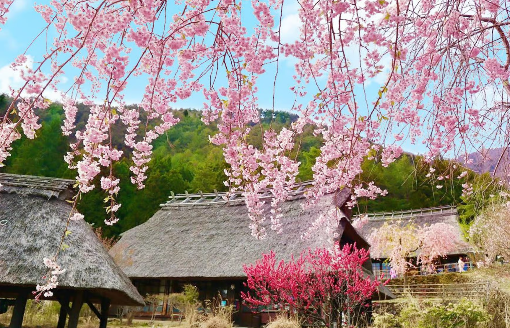 Tokyo: Mt Fuji, Saiko Village, Lake Kawaguchi & Oshino Hakkai
