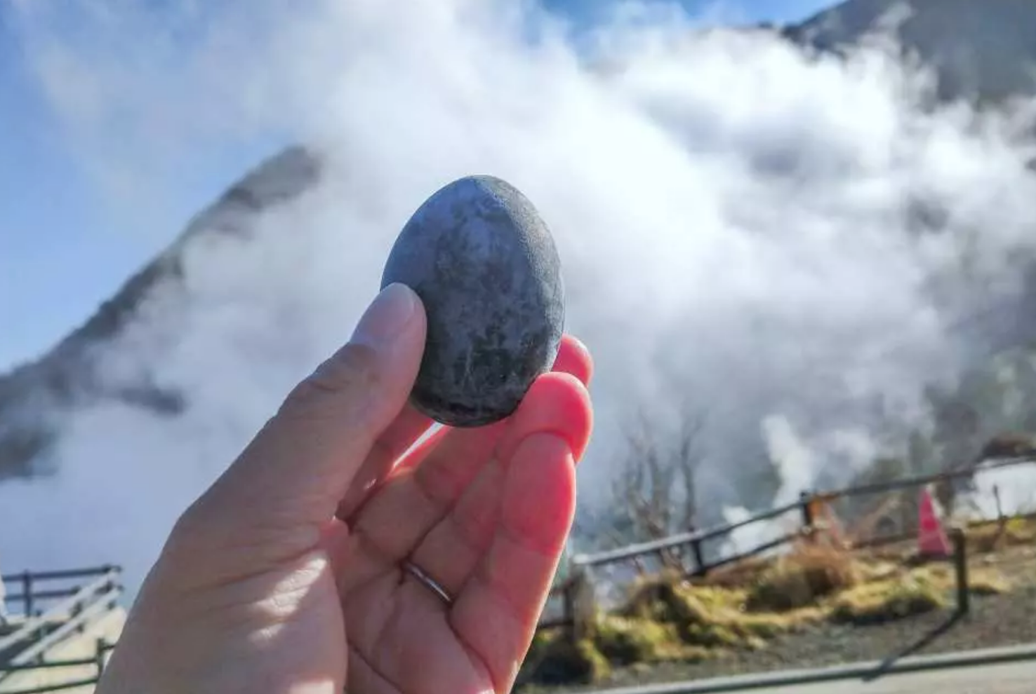 Owakudani Black Egg