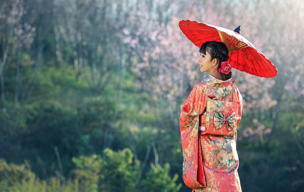 Woman in a traditional red kimono with a matching umbrella standing in a cherry blossom garden.