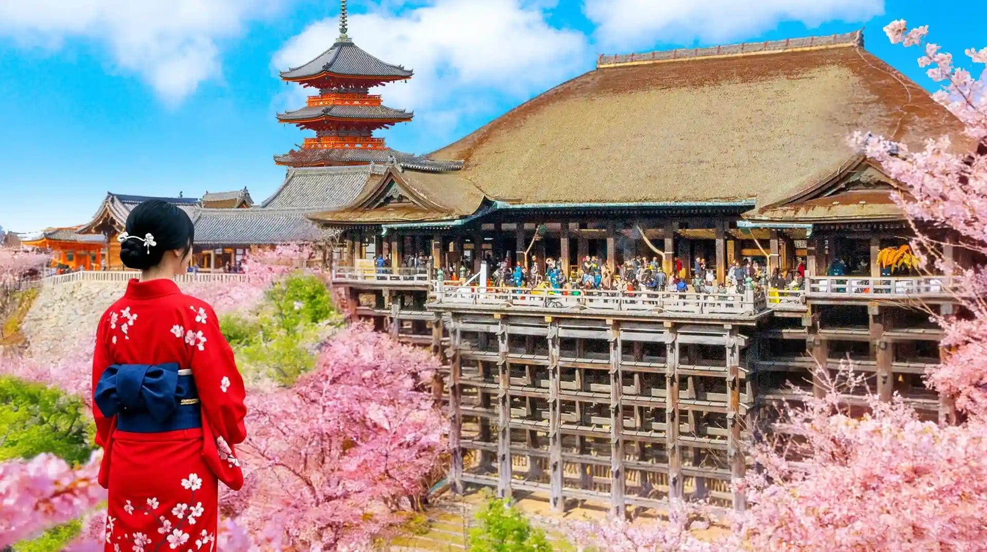 Kyoto & Uji: Kinkaku-ji, Kiyomizu-dera, and Byōdō-in (from Kyoto/Osaka)