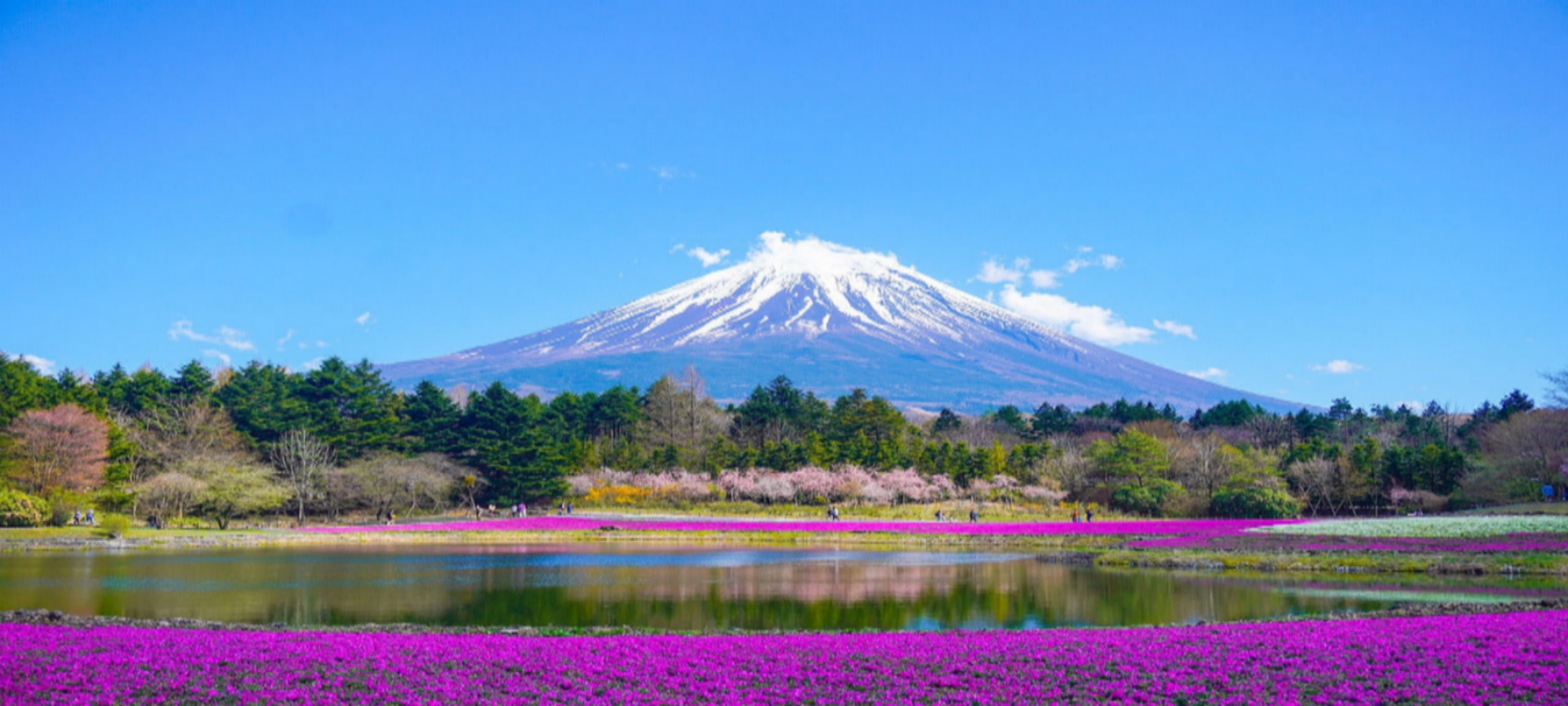 mount-fuji