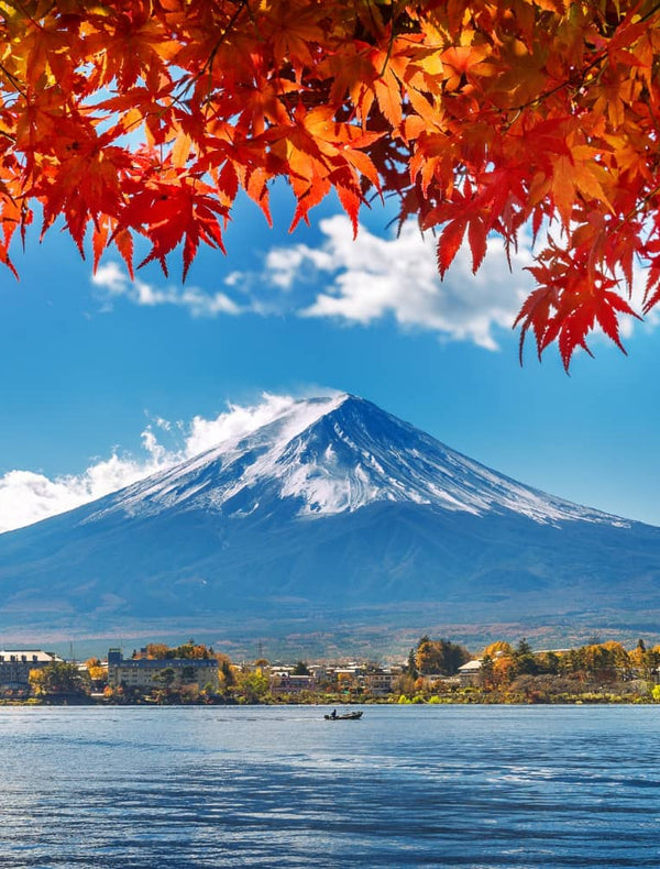 Fall Foliage