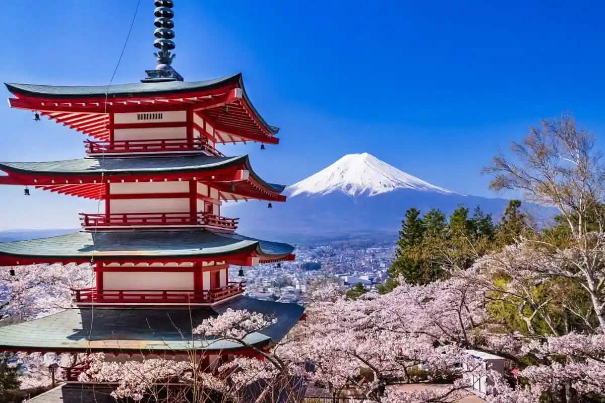 Mt Fuji View with Sakura at Chureito Pagoda