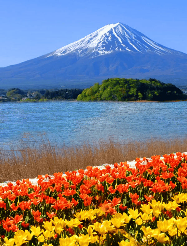 Mount Fuji