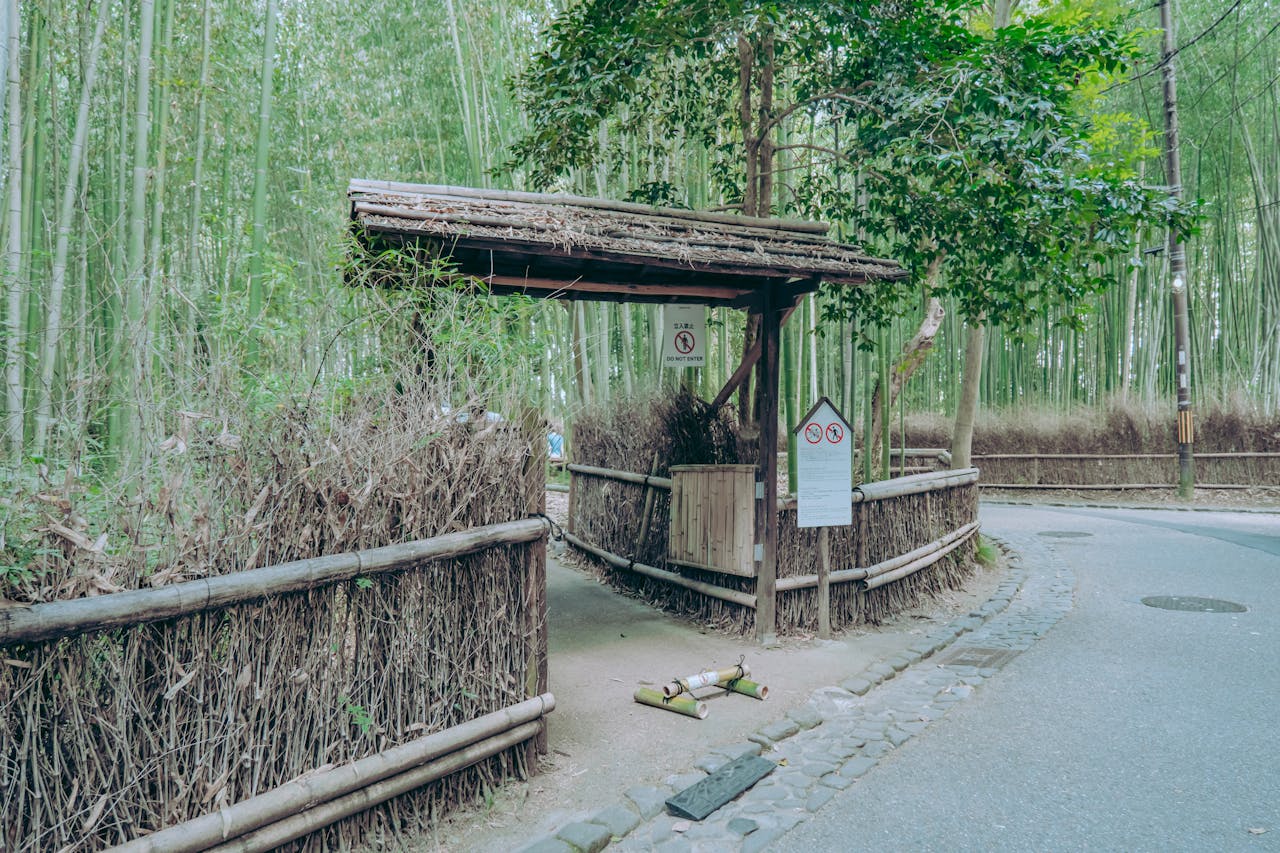 Arashiyama Bamboo Grove